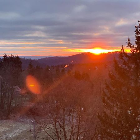 Ferienwohnung Mountainlook Hohegeiß Exteriör bild